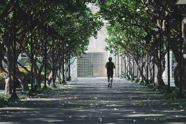 蘑菇视频下载平台趋势分析｜站点导航指南成为观影新风向